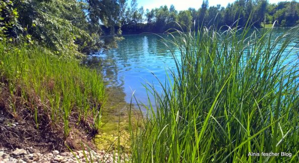 Ein Sommertag in Laxenburg