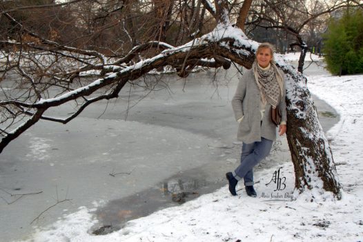 Winter im Wiener Stadtpark