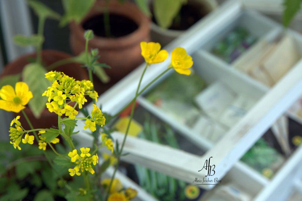 Balkon: Deko-Ideen für Draußen