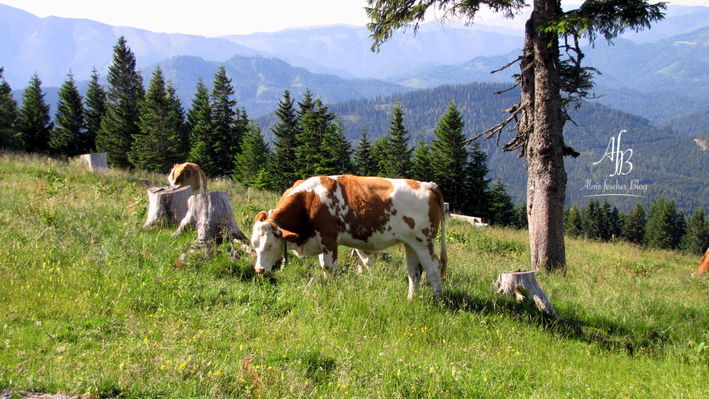 Die Berge und ich