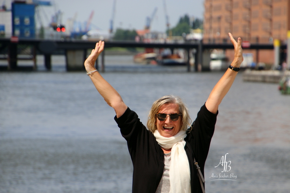 Landungsbrücke und Hafencity Hamburg