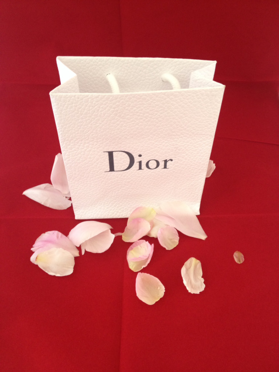 DIOR - Tribal earrings from Mise en Dior!