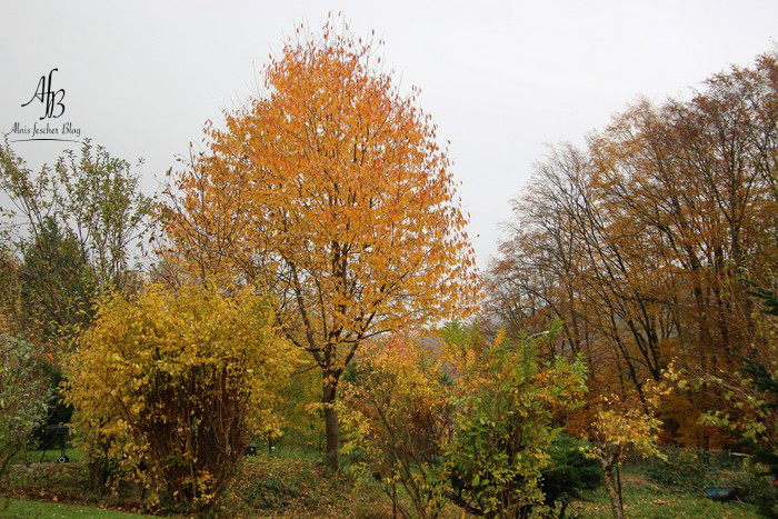 Gemütlich in den goldenen Herbst