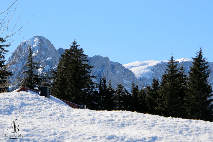 Traumhafte Wintertage am Seebergsattel in der Steiermark